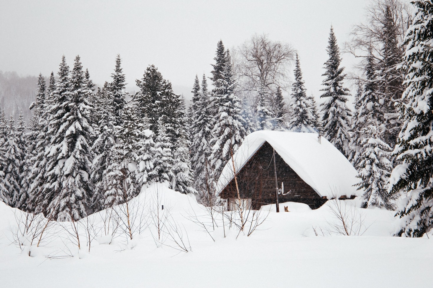 The Benefits Of Energy Efficient Heating
