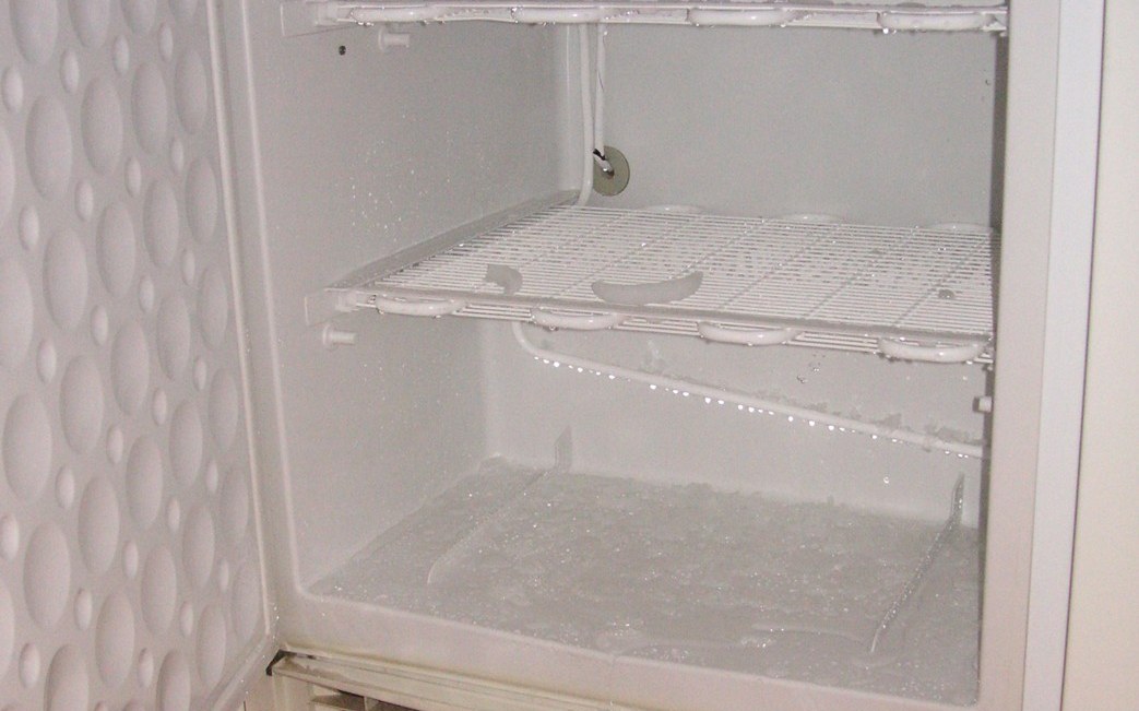 Appliance care guide for freezers and refrigerators featured cold-storage photo