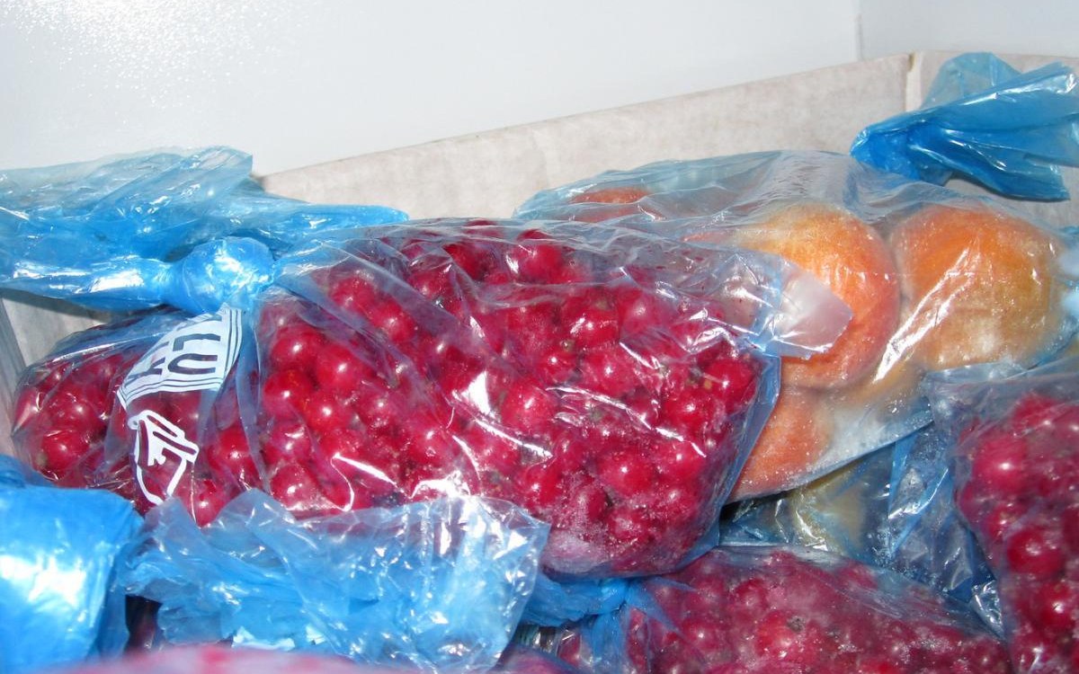 How to choose freezer organization products without wasting money shown with labeled freezer containers