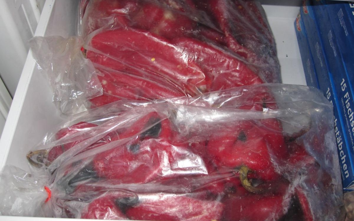 Our cold-storage review method and scoring policy shown with labeled freezer containers