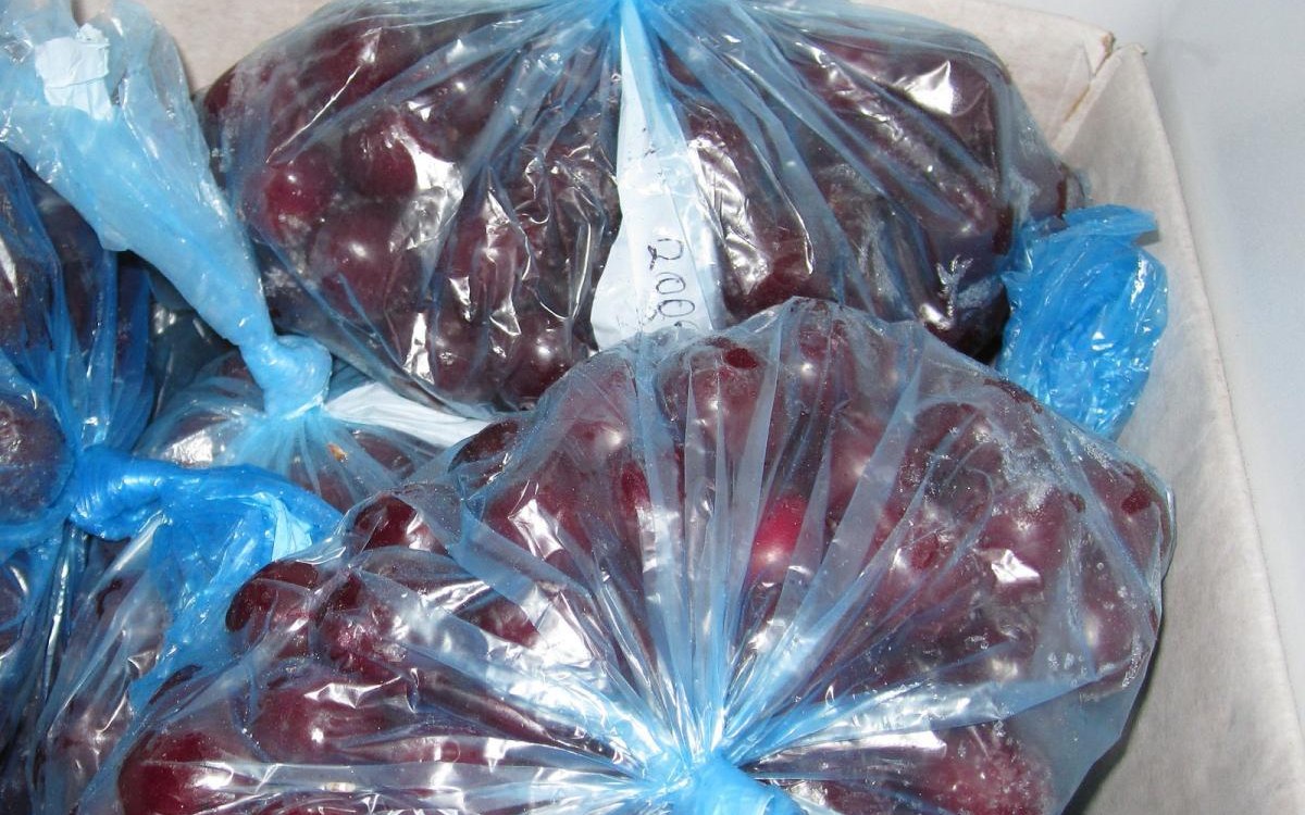 Defrosting tools and freezer maintenance checklist example with cold-storage bins and food containers