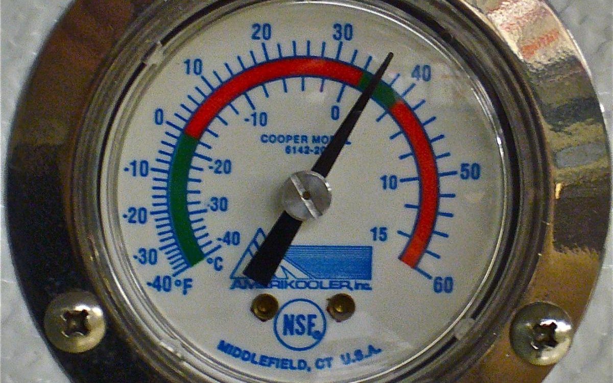 Freezer thermometer buying guide example with cold-storage bins and food containers