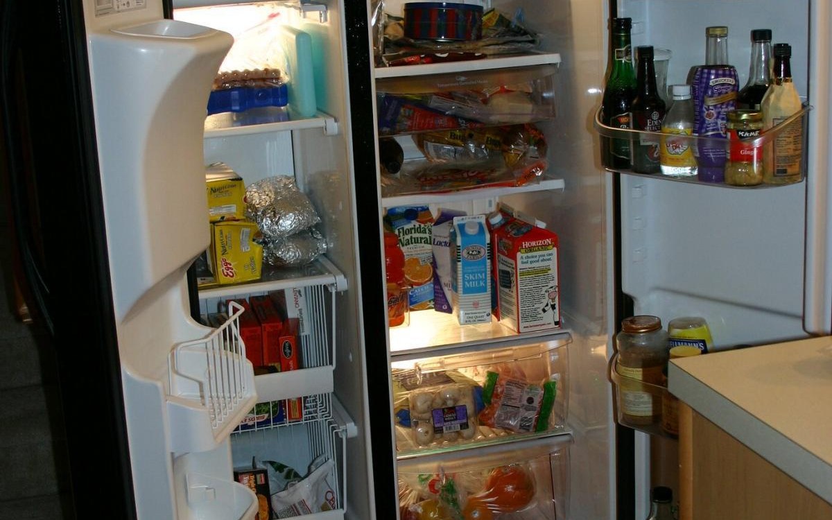 Fridge deodorizer and moisture control buying guide example with cold-storage bins and food containers